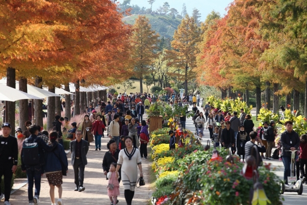 순천만 국가정원 사진