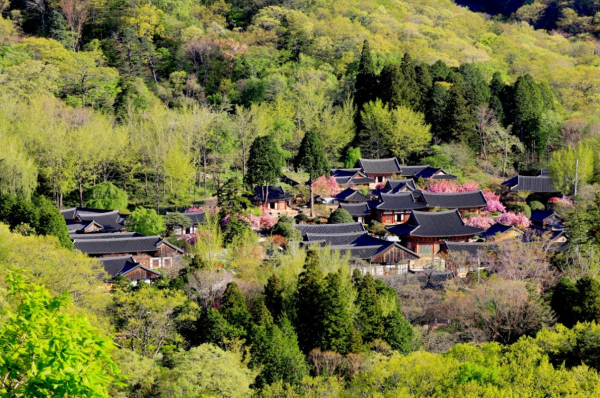 순천세계유산축전의 중심지 선암사 전경 사진