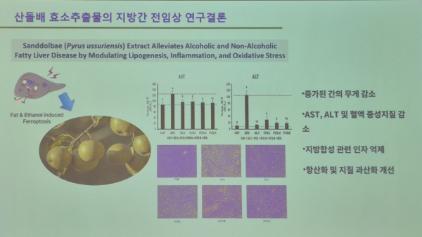 이날 포럼에서 산돌배 효소추출물이 지방간 개선에 효과가 입증되는 결과가 발표됐다.